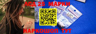 прущие грибы Донской
